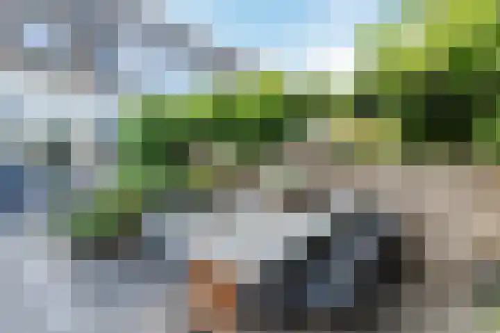 Hermelijnvlinderdijk 109 Utrecht thumbnail 43