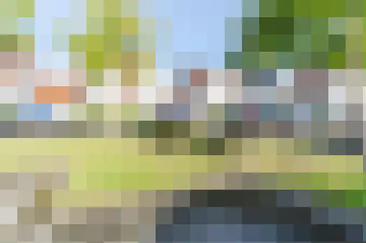 Hermelijnvlinderdijk 109 Utrecht thumbnail 50