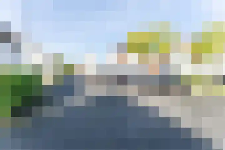 Hermelijnvlinderdijk 109 Utrecht thumbnail 51