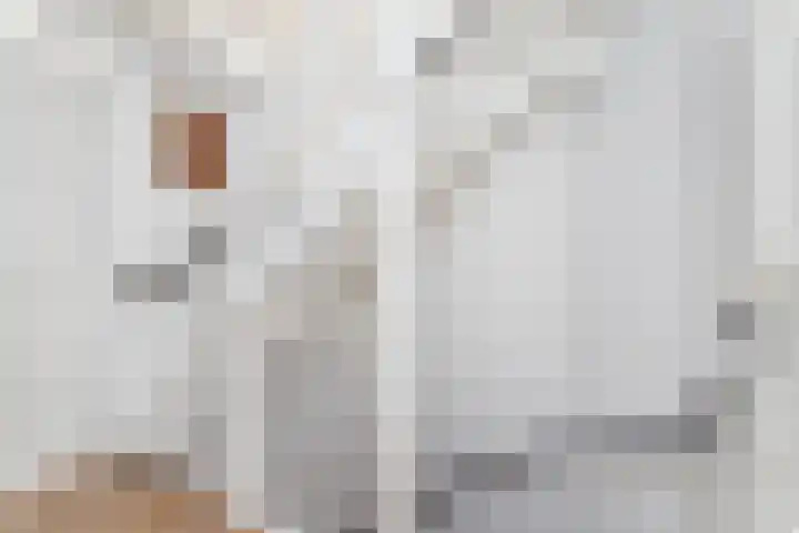 Hermelijnvlinderdijk 124 Utrecht thumbnail 23
