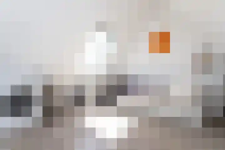 Hermelijnvlinderdijk 124 Utrecht thumbnail 24