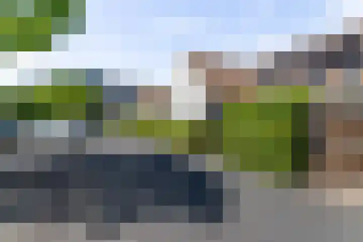 Hermelijnvlinderdijk 124 Utrecht thumbnail 32