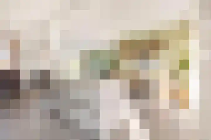 Hermelijnvlinderdijk 189 Utrecht thumbnail 20