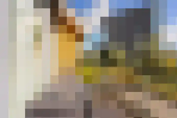 Hermelijnvlinderdijk 189 Utrecht thumbnail 23