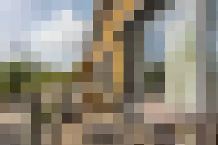 Hermelijnvlinderdijk 189 Utrecht thumbnail 24