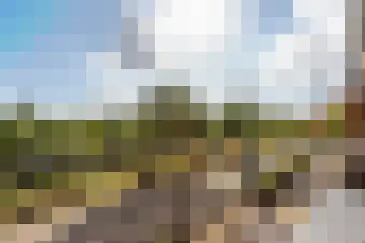 Hermelijnvlinderdijk 189 Utrecht thumbnail 25