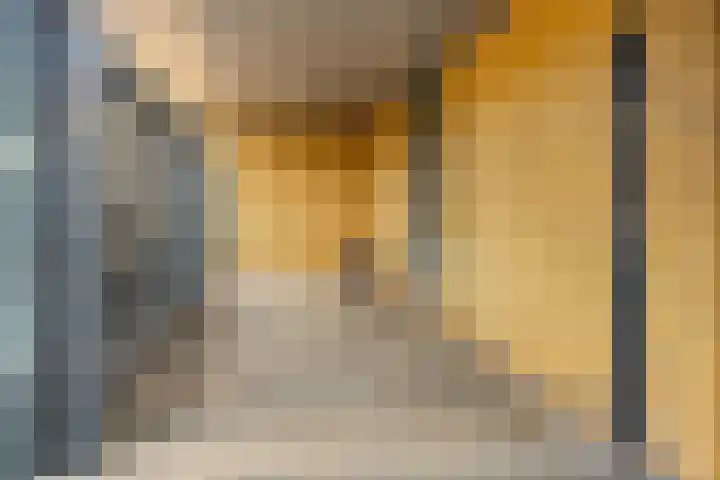 Hermelijnvlinderdijk 189 Utrecht thumbnail 35