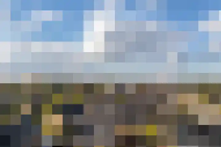 Hermelijnvlinderdijk 189 Utrecht thumbnail 39
