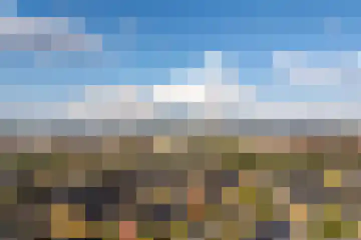 Hermelijnvlinderdijk 189 Utrecht thumbnail 4