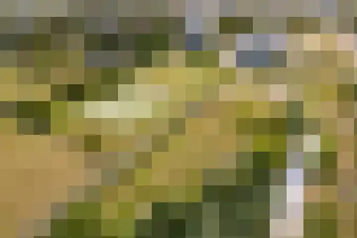 Hermelijnvlinderdijk 189 Utrecht thumbnail 41