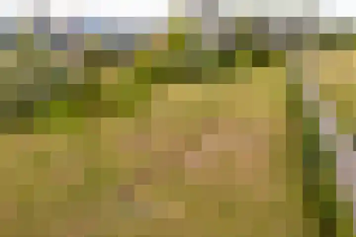 Hermelijnvlinderdijk 189 Utrecht thumbnail 42