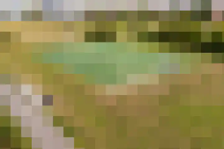 Hermelijnvlinderdijk 189 Utrecht thumbnail 43