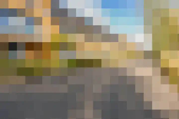 Hermelijnvlinderdijk 189 Utrecht thumbnail 6