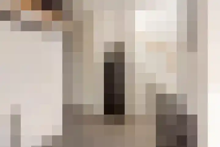 Hermelijnvlinderdijk 189 Utrecht thumbnail 9