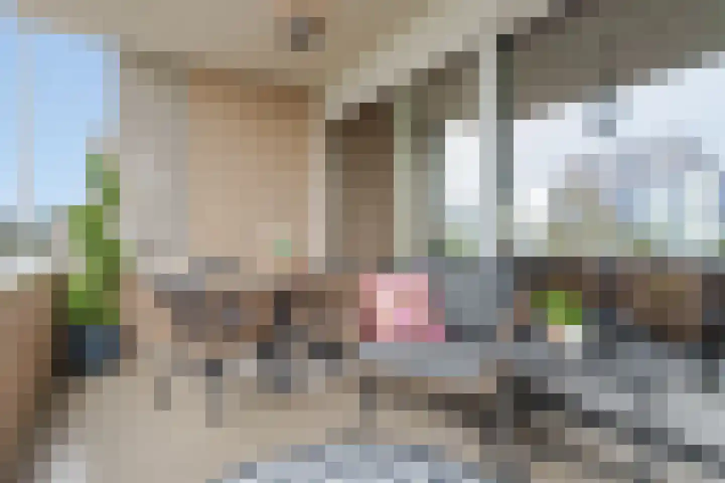 Hermelijnvlinderdijk 627 Utrecht thumbnail 13