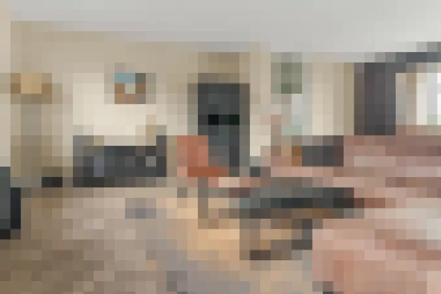 Hermelijnvlinderdijk 627 Utrecht thumbnail 4