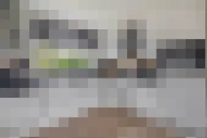 Hermelijnweide 18 Veghel thumbnail 10