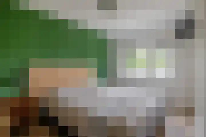Hermelijnweide 18 Veghel thumbnail 14