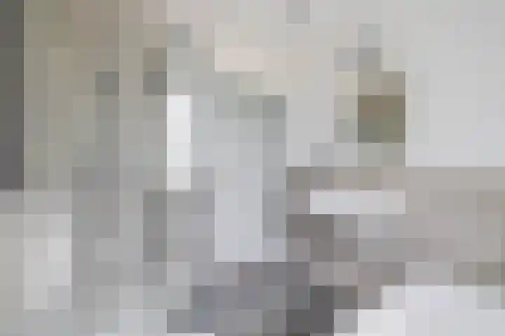 Hermelijnweide 18 Veghel thumbnail 17