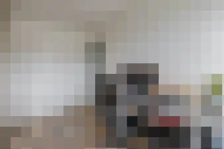 Hermelijnweide 18 Veghel thumbnail 20