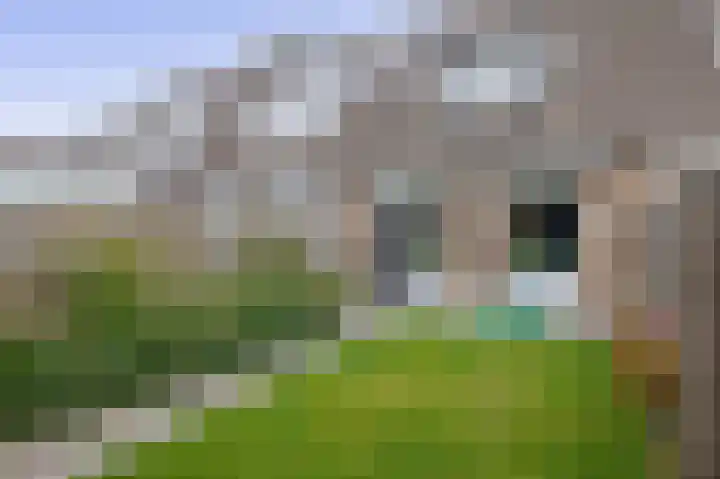 Hermelijnweide 18 Veghel thumbnail 23