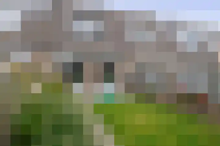 Hermelijnweide 18 Veghel thumbnail 24