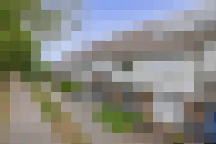 Hermelijnweide 18 Veghel thumbnail 30