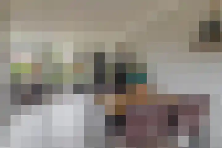 Hermelijnweide 18 Veghel thumbnail 8