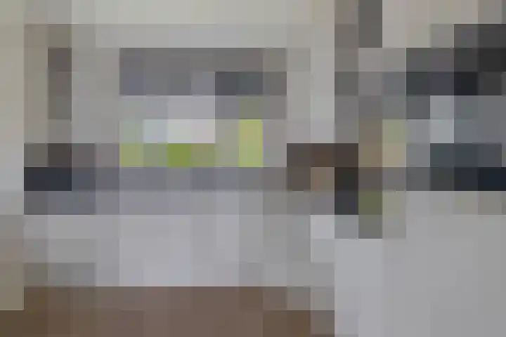 Hermelijnweide 18 Veghel thumbnail 9