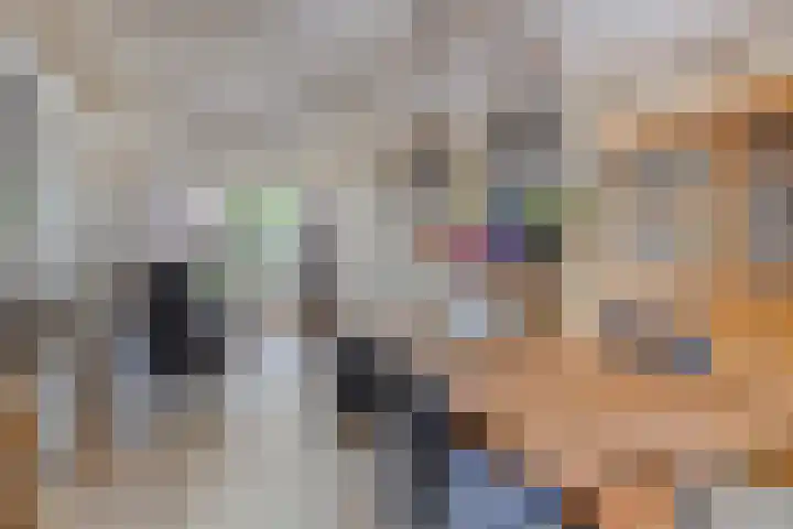 Hermelijnweide 19 Veghel thumbnail 10