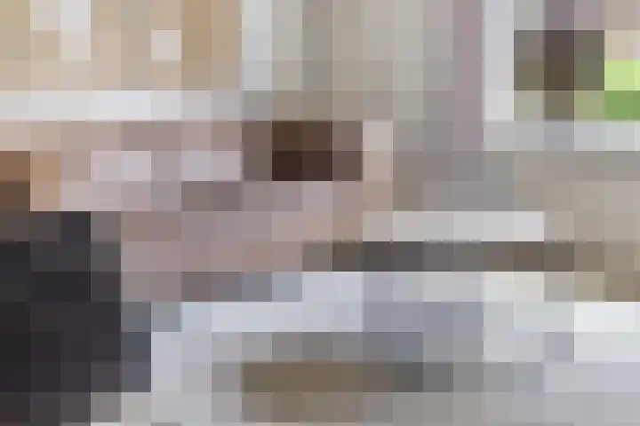 Hermelijnweide 19 Veghel thumbnail 12