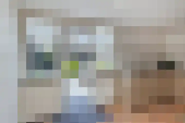 Hermelijnweide 19 Veghel thumbnail 19