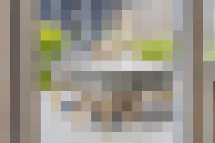 Hermelijnweide 19 Veghel thumbnail 20