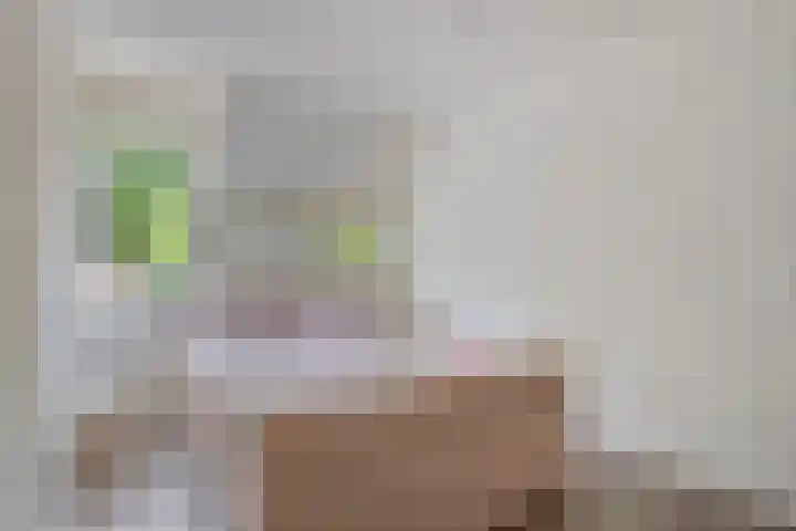 Hermelijnweide 19 Veghel thumbnail 22