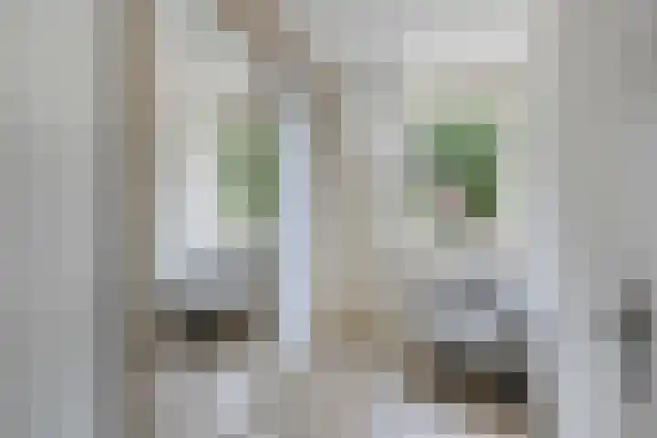 Hermelijnweide 19 Veghel thumbnail 26