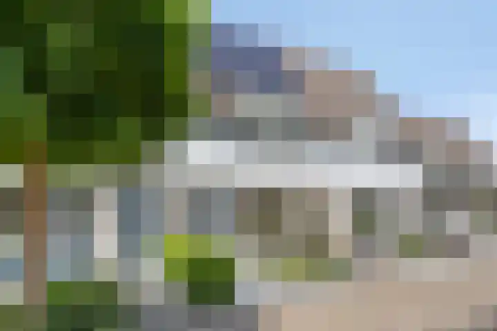 Hermelijnweide 19 Veghel foto 3