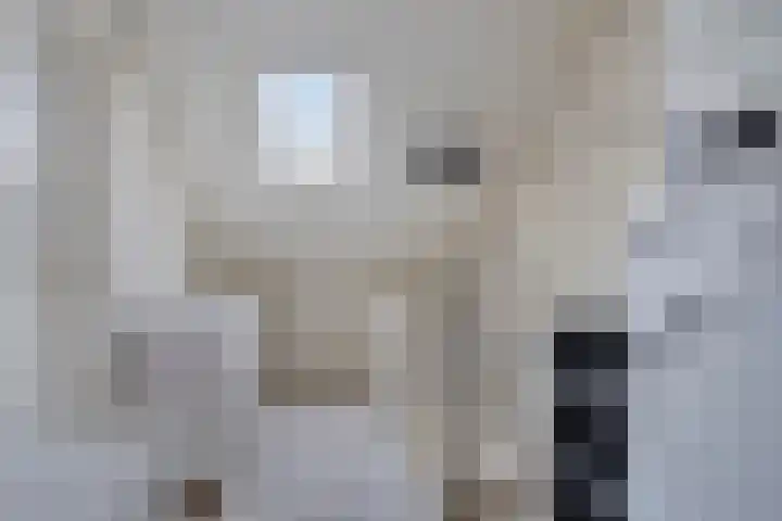 Hermelijnweide 19 Veghel thumbnail 30