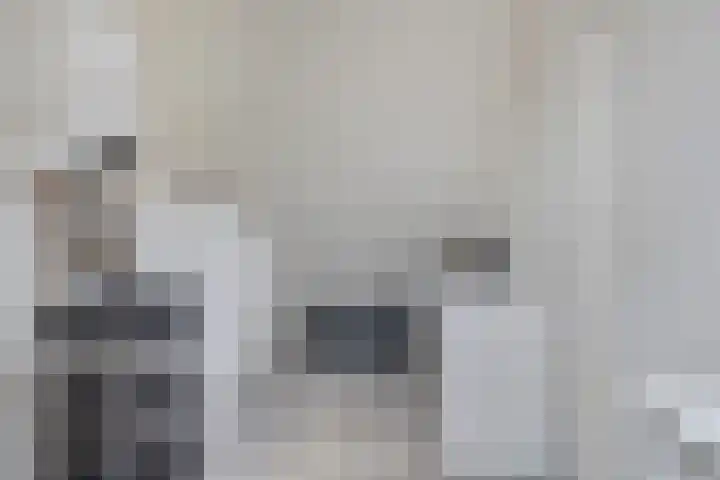 Hermelijnweide 19 Veghel thumbnail 31