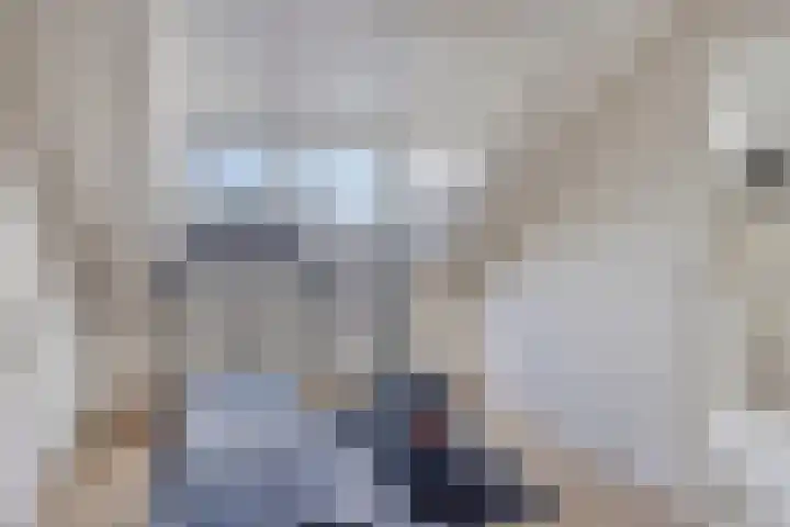 Hermelijnweide 19 Veghel thumbnail 32
