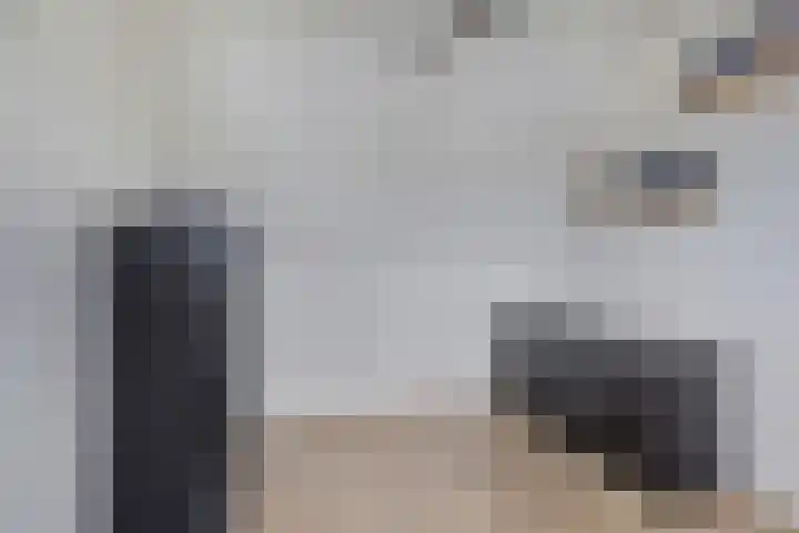 Hermelijnweide 19 Veghel thumbnail 33