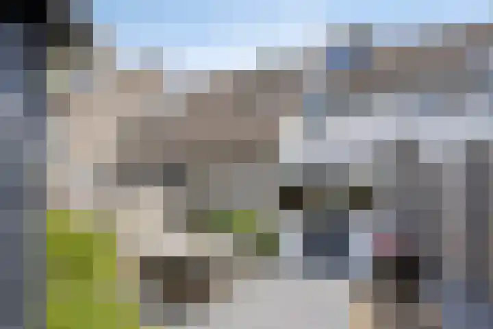 Hermelijnweide 19 Veghel thumbnail 34