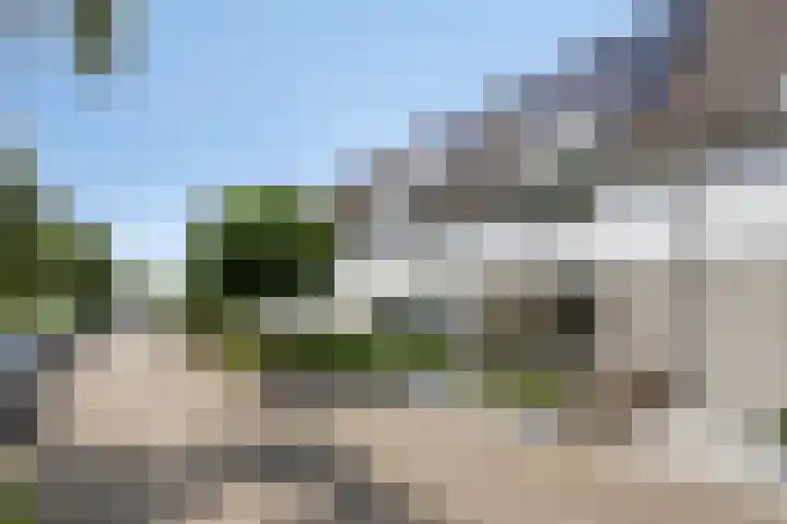 Hermelijnweide 19 Veghel thumbnail 39