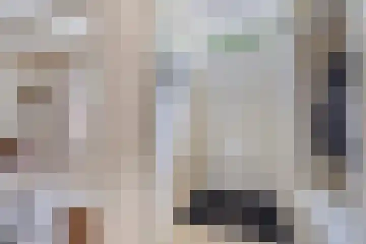 Hermelijnweide 19 Veghel thumbnail 4