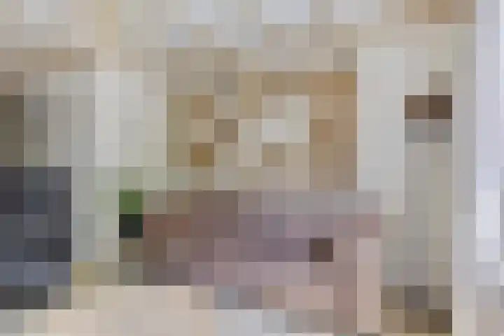 Hermelijnweide 19 Veghel thumbnail 7