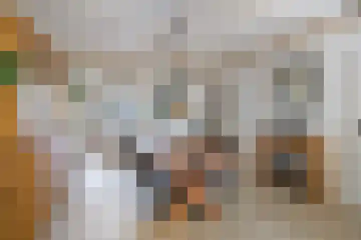 Hermelijnweide 19 Veghel thumbnail 9