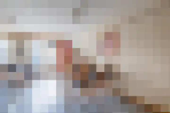 Hermelijnweide 22 Veghel thumbnail 13