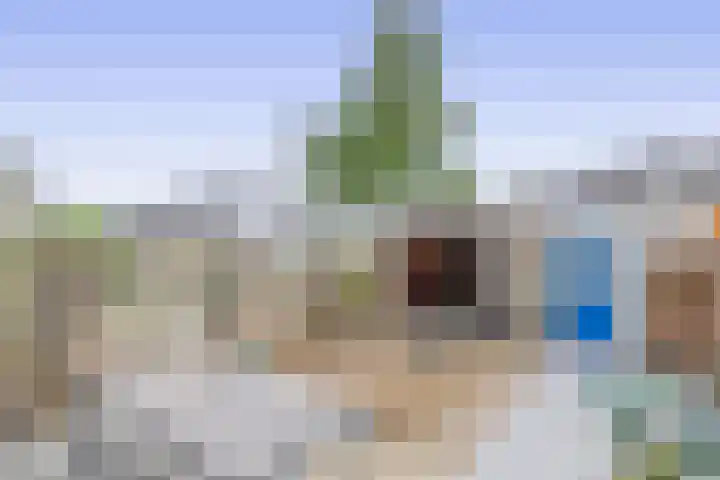Hermelijnweide 22 Veghel thumbnail 16