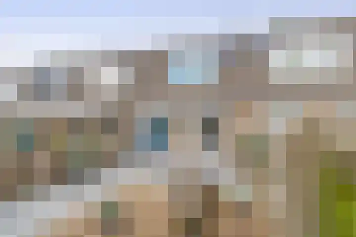 Hermelijnweide 22 Veghel thumbnail 18