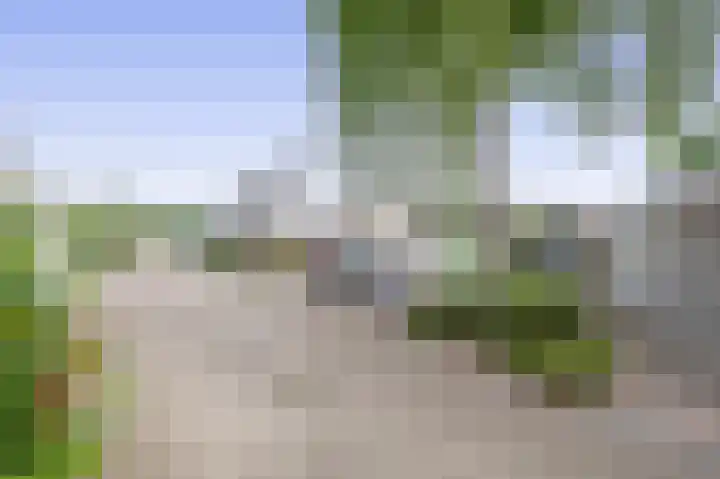 Hermelijnweide 22 Veghel thumbnail 32