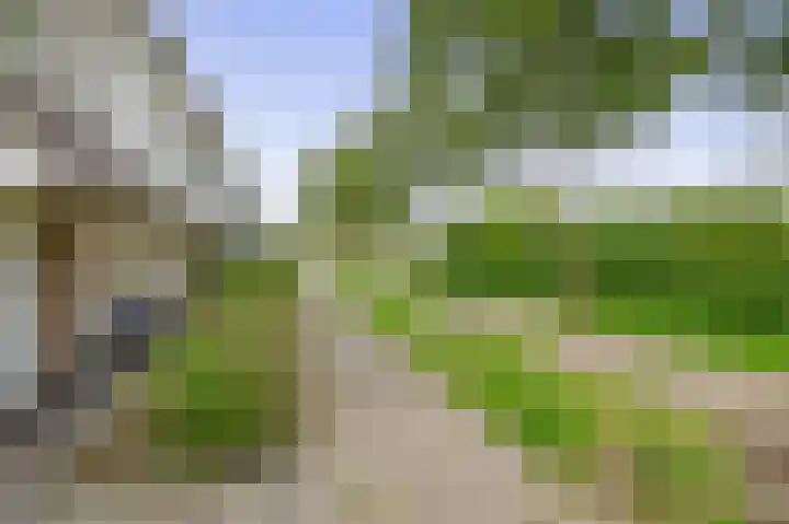 Hermelijnweide 22 Veghel thumbnail 4